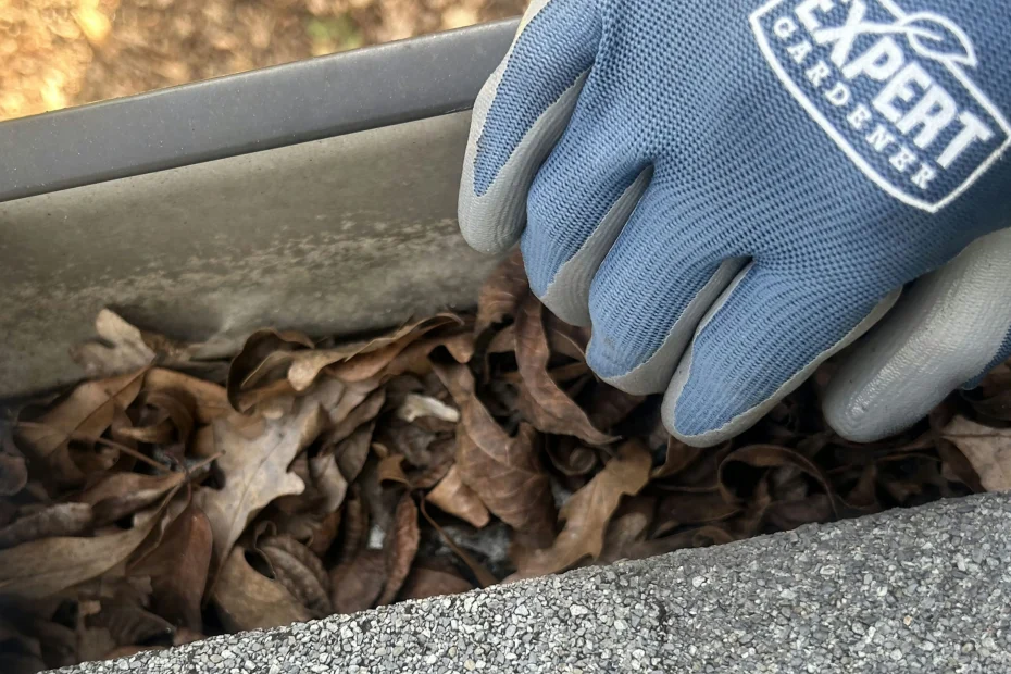 Gutter Cleaning Pinson